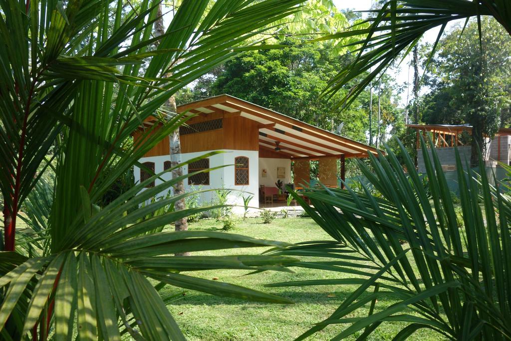Los Delfines Lodge Puerto Viejo de Talamanca 部屋 写真