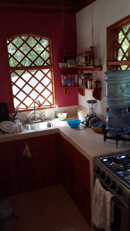 Los Delfines Lodge Puerto Viejo de Talamanca 部屋 写真