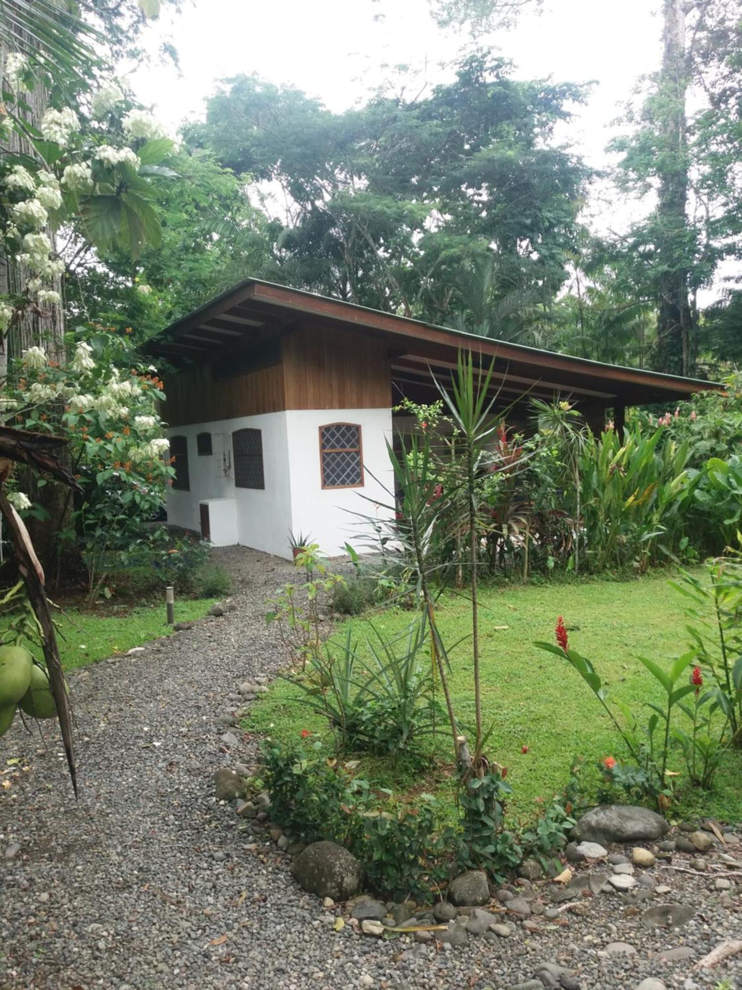 Los Delfines Lodge Puerto Viejo de Talamanca エクステリア 写真