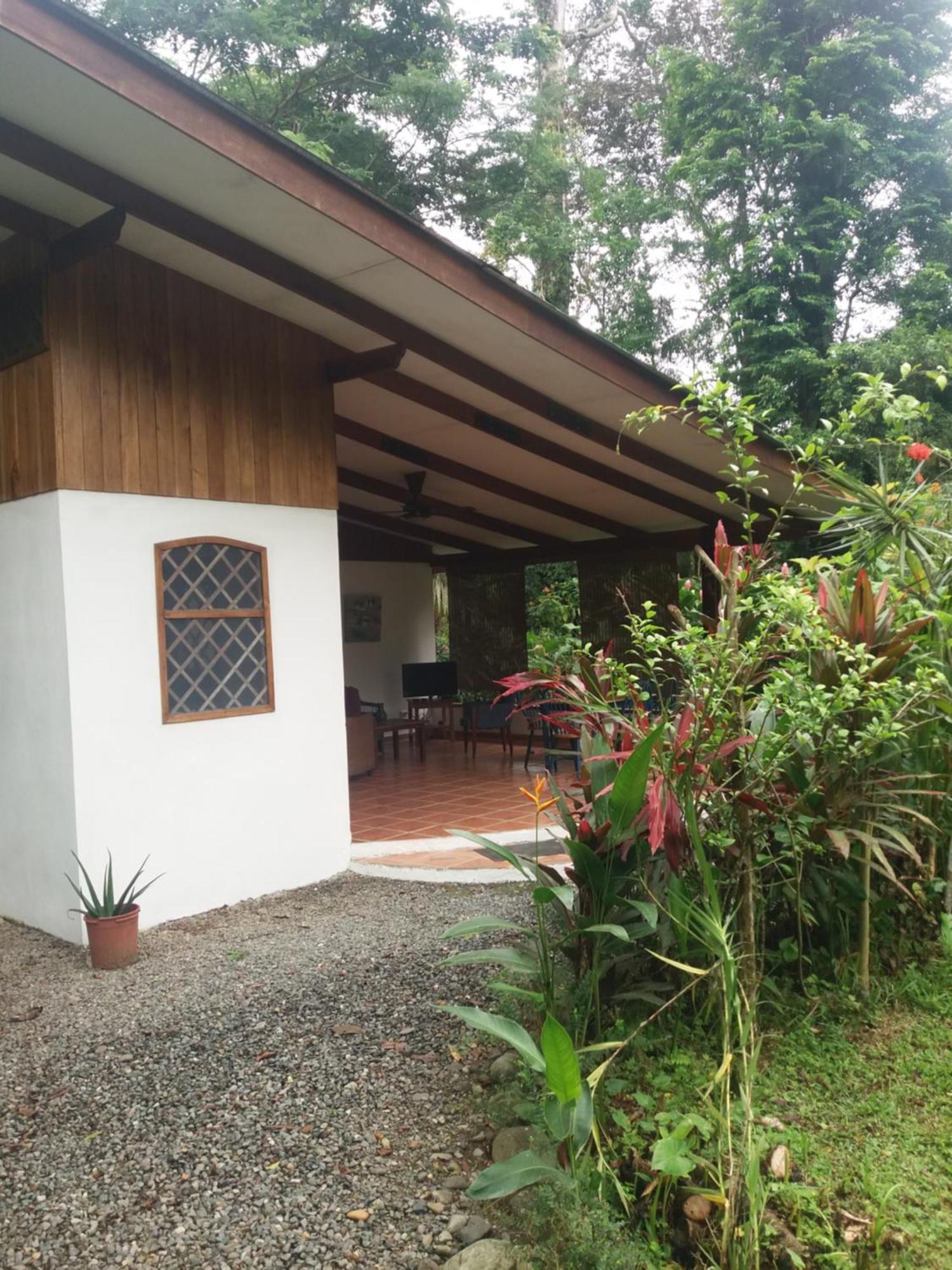 Los Delfines Lodge Puerto Viejo de Talamanca エクステリア 写真